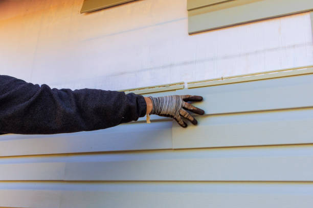 Best Siding Painting and Refinishing  in Millport, AL